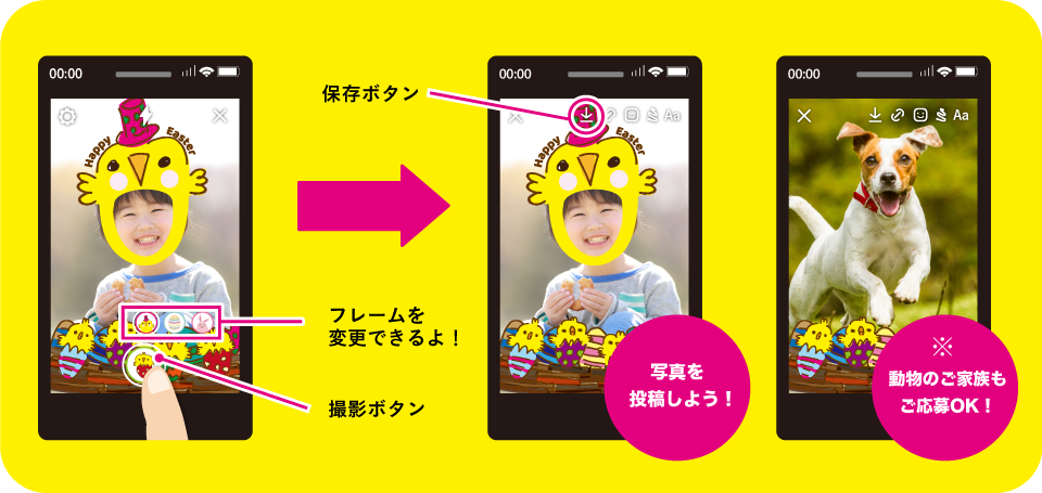 「ggイースターフィルター」を使って撮影手順