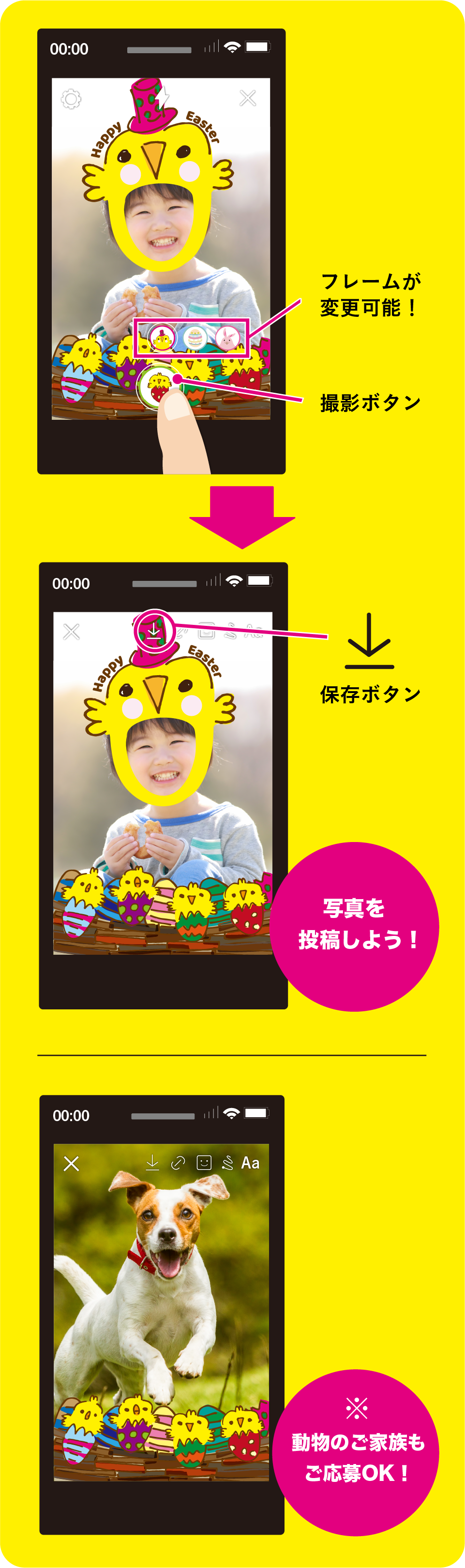 「ggイースターフィルター」を使って撮影手順