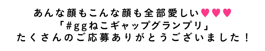 2月22日は猫の日（にゃんにゃんにゃん）！