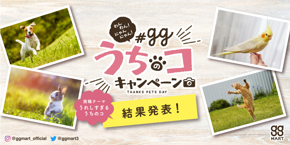 わんわん!にゃんにゃん!ggうちのコキャンペーン