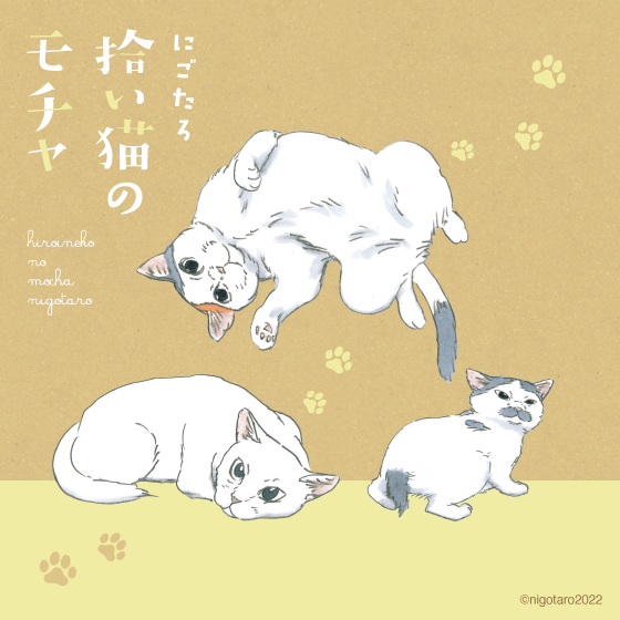 拾い猫のモチャ