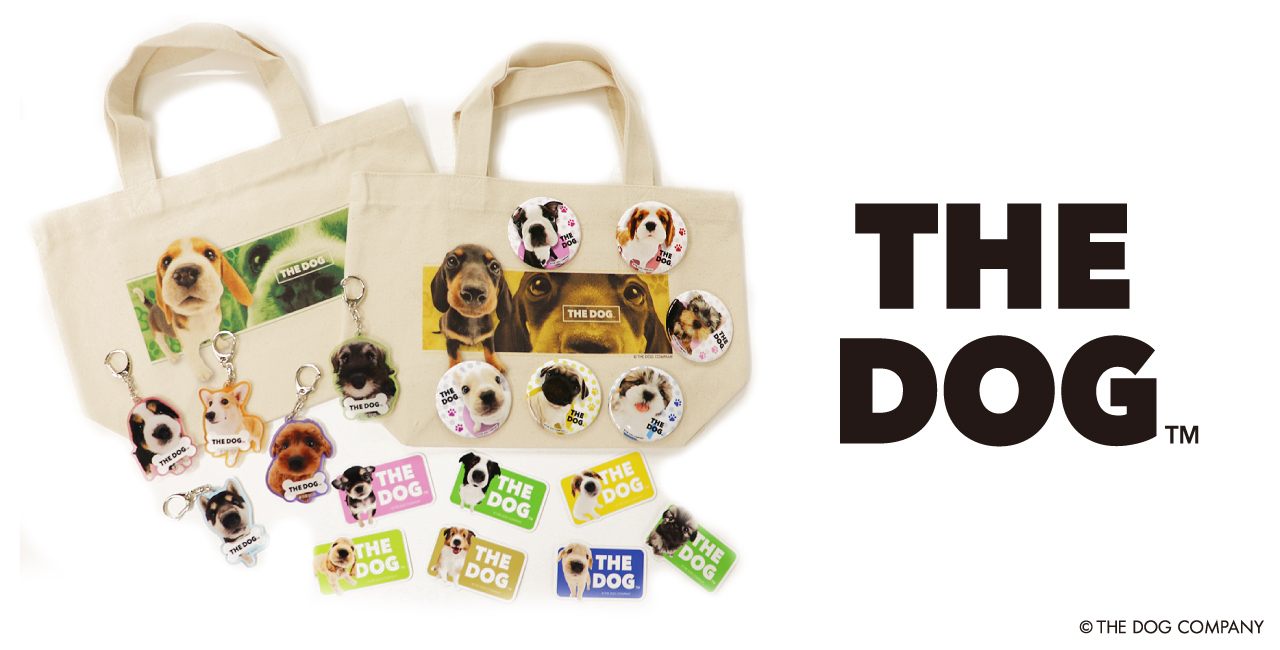 THE DOG