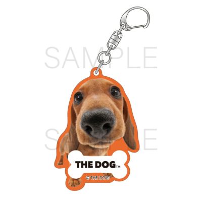 THE DOG | グッドなグッズのマーケット ggMART / ジージーマート